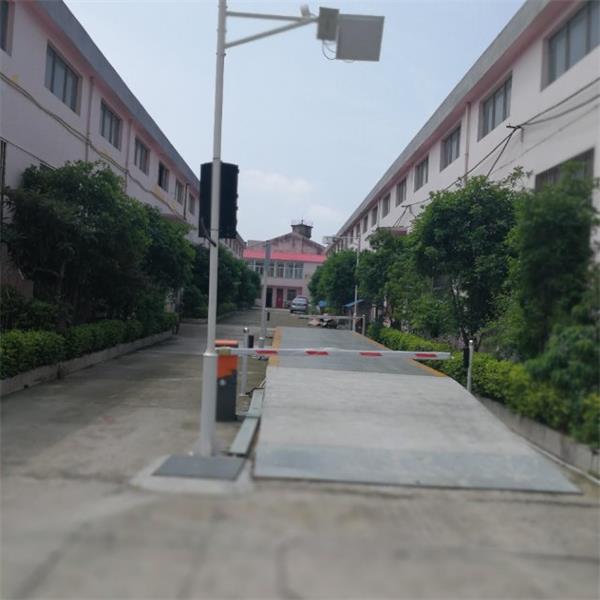 “电子樱桃视频污版”和“汽车衡”到底有什么不同?居然还有70%人分不清楚